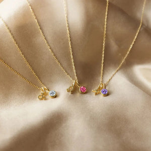 Silver &amp; Gold Zodiac Sign Birthstone Pendant Necklace