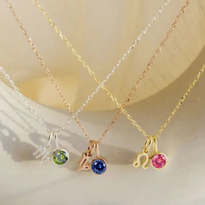 Silver &amp; Gold Zodiac Sign Birthstone Pendant Necklace