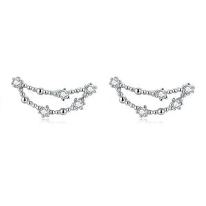 Boucles d'Oreilles 12 Constellations Signe du Zodiaque Femme capricorne